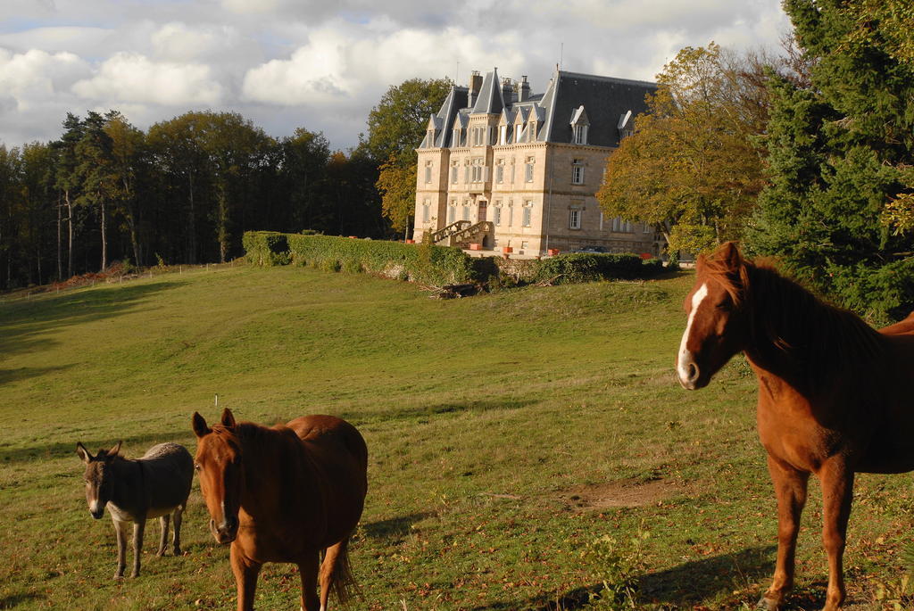 Chateau Des Faugs Boffres Екстериор снимка